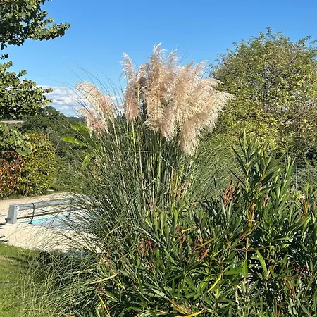 Semesterbostad Domaine D'elusa