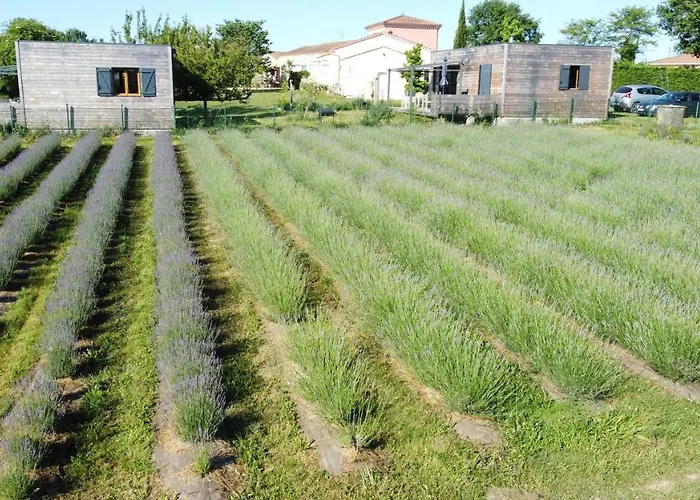 Domaine D'elusa Dom wakacyjny