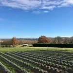 Domaine D'elusa Vic-Fezensac