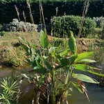 Nyaraló Domaine D'elusa *