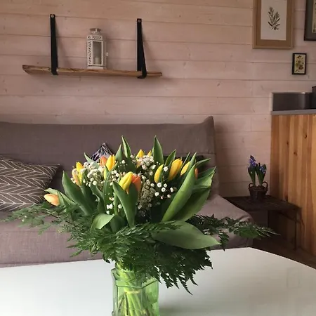 Domaine D'elusa * Vic-Fezensac