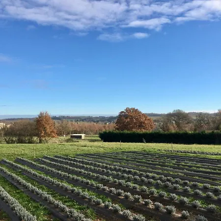 Domaine D'elusa فيك-فيزينساك