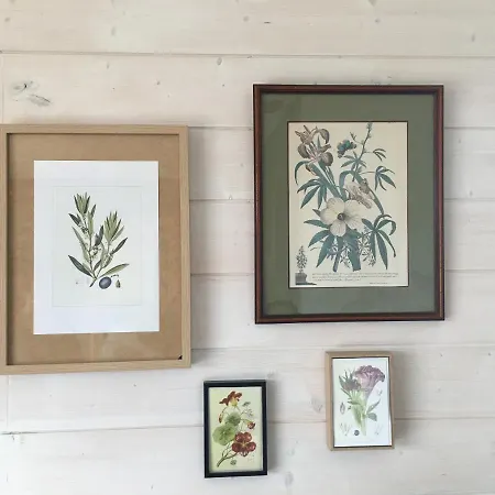 Domaine D'elusa Vic-Fezensac