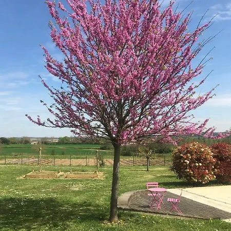 Сasa de vacaciones Domaine D'elusa Vic-Fezensac