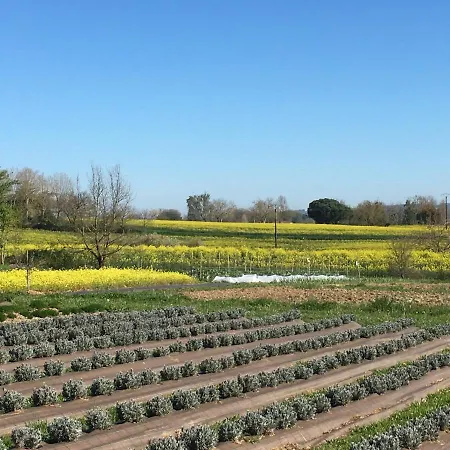 Domaine D'elusa بيت للعطل