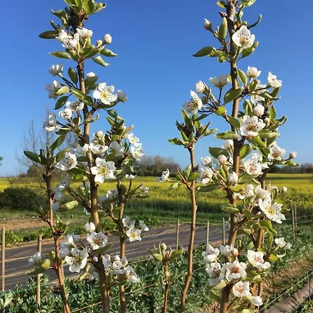 Domaine D'elusa Сasa de vacaciones