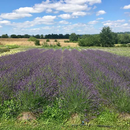 Domaine D'elusa