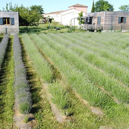 Domaine D'elusa بيت للعطل