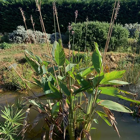 Σπίτι διακοπών Domaine D'elusa *