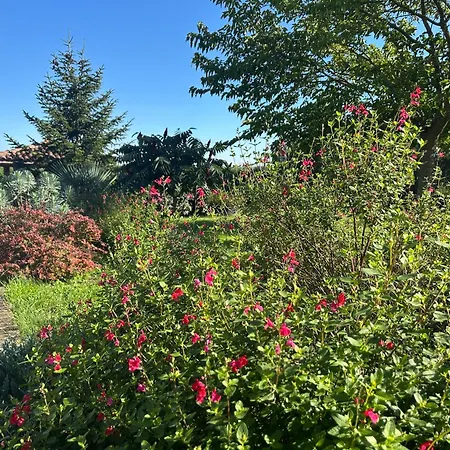 Сasa de vacaciones Domaine D'elusa Vic-Fezensac