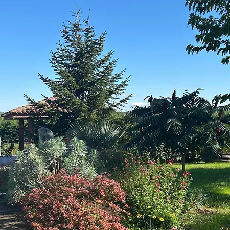 Domaine D'elusa