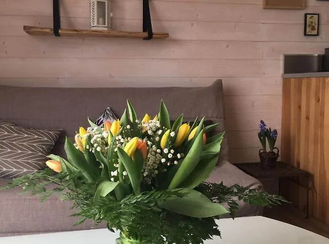 Domaine D'elusa * Vic-Fezensac