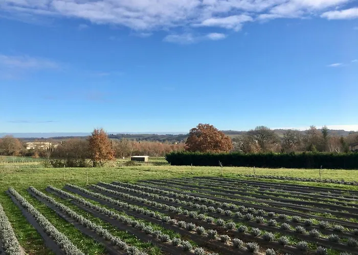 Domaine D'elusa Vic-Fezensac