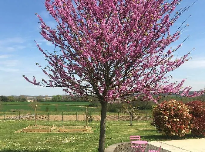 Hébergement de vacances Domaine D'elusa Vic-Fezensac