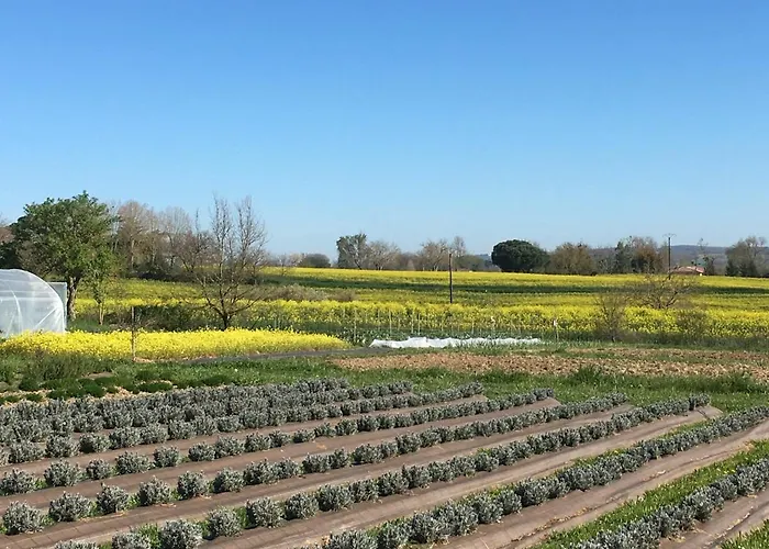 Domaine D'elusa Hébergement de vacances