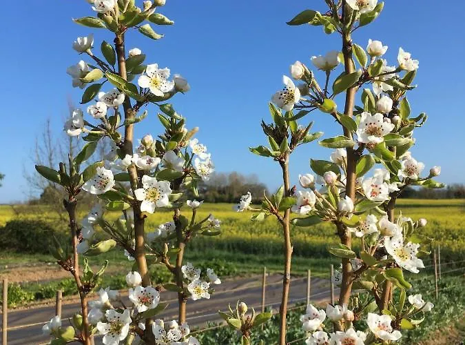 Domaine D'elusa Ferienhaus