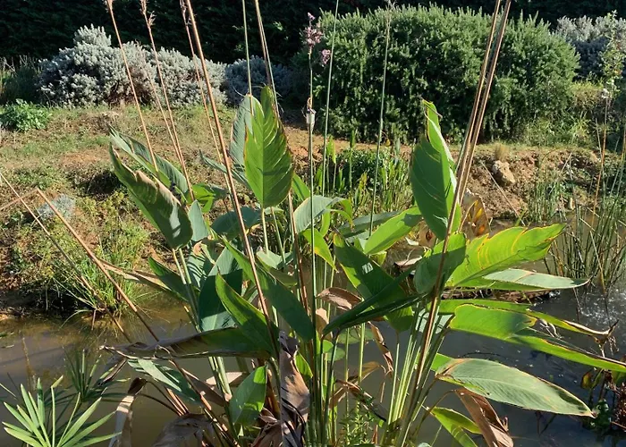 Ferienhaus Domaine D'elusa *